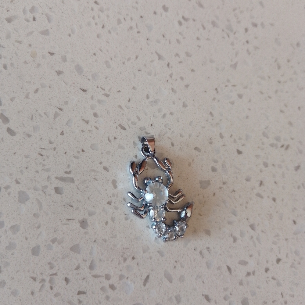 Scorpion Necklace Pendant
